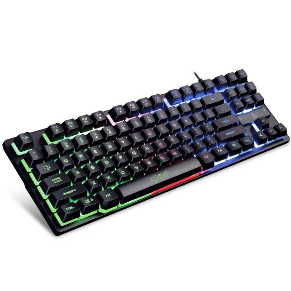 Amkette Evo Fox gaming keyboard